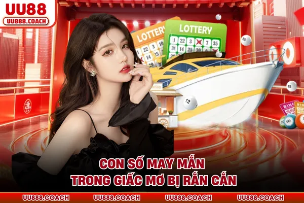 Con số may mắn trong giấc mơ bị rắn cắn Con số may mắn trong giấc mơ bị rắn cắn