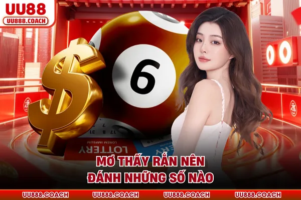 Mơ thấy rắn nên đánh những số nào Mơ thấy rắn nên đánh những số nào